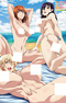 Nudist Beach ni Shuugaku Ryokou de!! The Animation