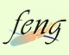 Feng